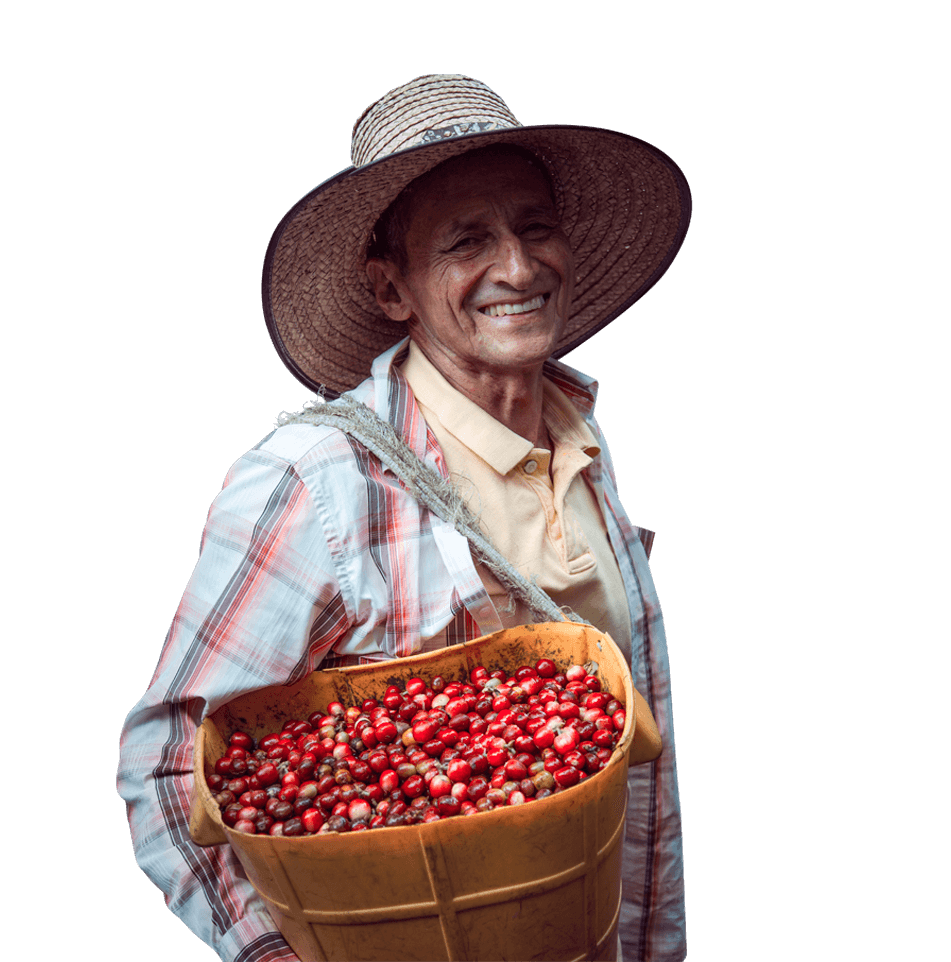 vertical shot hispanic male carrying basket